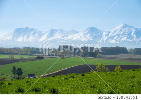 美瑛町から望む十勝岳連峰の風景 139541351