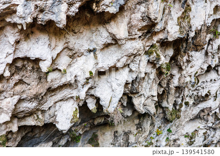 Rugged limestone rock face with moss Rugged limestone rock face with moss 139541580