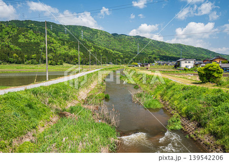 奥琵琶湖を流れる清流　大浦川　滋賀県長浜市西浅井町 139542206