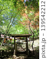 荒川豊蔵資料館 139542212