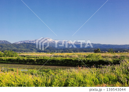庄内平野五月の田圃風景 139543044