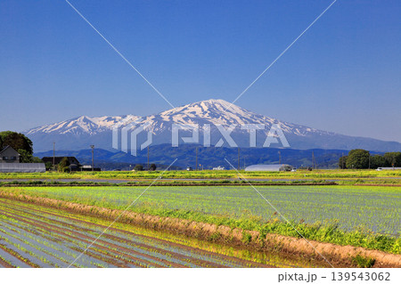 庄内平野五月の田圃風景 庄内平野五月の田圃風景 139543062