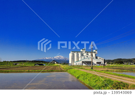 庄内平野五月の田圃風景 139543069
