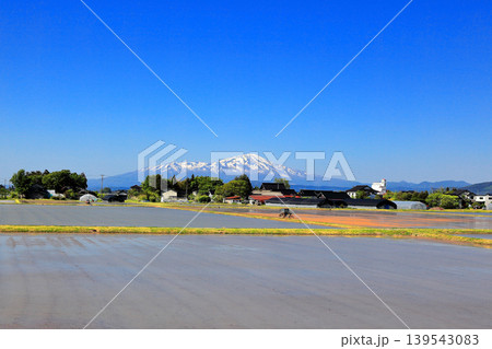 庄内平野五月の田圃風景 庄内平野五月の田圃風景 139543083