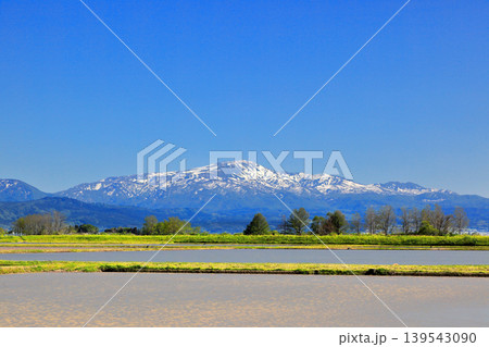 庄内平野五月の田圃風景 139543090