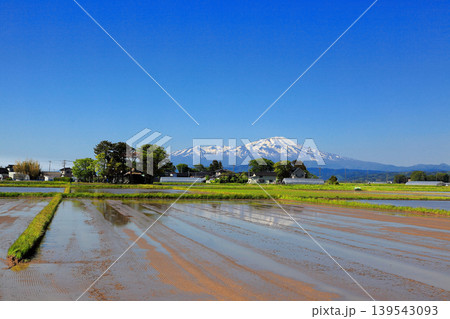 庄内平野五月の田圃風景 139543093