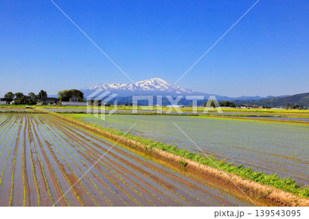庄内平野五月の田圃風景 139543095