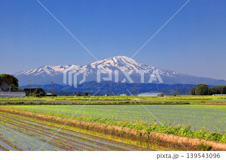 庄内平野五月の田圃風景 庄内平野五月の田圃風景 139543096