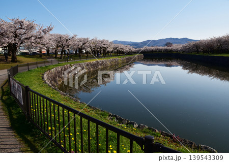 桜の頃の朝の五稜郭公園 桜の頃の朝の五稜郭公園 139543309