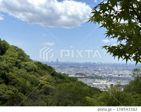 新緑のモミジと都市風景 昼間の街並み 時間の移ろい 139543382