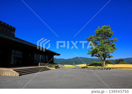 眺海の森 森林学習展示館 眺海の森 森林学習展示館 139543750