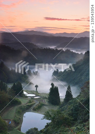 雲海朝焼けの山古志棚田の夜明け 雲海朝焼けの山古志棚田の夜明け 139543954