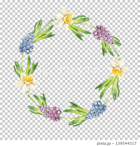 Watercolor round wreath with muscari, hyacinth and daffodil flowers in elegant spring composition. Botanical illustration for greeting cards, invitations and seasonal stationery. 139544317