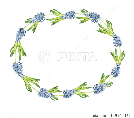 Watercolor oval wreath with blue muscari hyacinth flowers and green leaves arranged in elegant spring composition. Botanical illustration for invitations, greeting cards and seasonal stationery. Watercolor oval wreath with blue muscari hyacinth flowers and green leaves arranged in elegant spring composition. Botanical illustration for invitations, greeting cards and seasonal stationery. 139544321