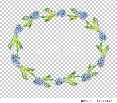 Watercolor oval wreath with blue muscari hyacinth flowers and green leaves arranged in elegant spring composition. Botanical illustration for invitations, greeting cards and seasonal stationery. Watercolor oval wreath with blue muscari hyacinth flowers and green leaves arranged in elegant spring composition. Botanical illustration for invitations, greeting cards and seasonal stationery. 139544321