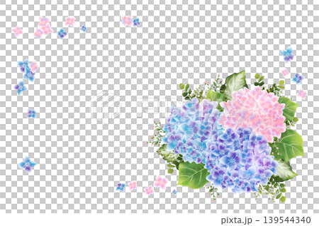 紫陽花のフレーム1（枠なし） 139544340