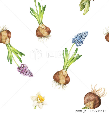 hyacinth flower bulbs, roots and blooming spring flowers watercolor seamless spring pattern. Botanical illustration inspired by seed planting, greenhouse care and countryside gardening hobbies. 139544416