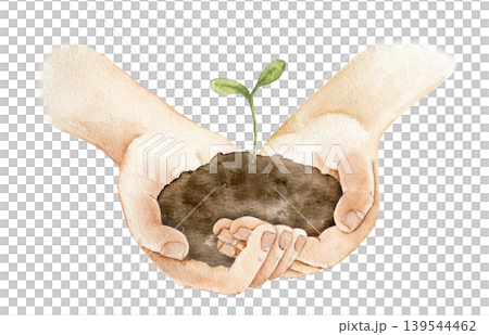 Watercolor illustration of hands holding soil with young green seedling. Botanical artwork for eco themes, farming projects, stationery, packaging and spring decoration use. Watercolor illustration of hands holding soil with young green seedling. Botanical artwork for eco themes, farming projects, stationery, packaging and spring decoration use. 139544462