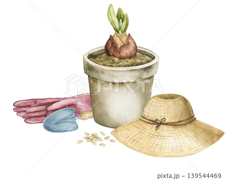 Watercolor composition with flower pot, sprouting bulb, gardening gloves, straw hat and seeds. Spring botanical illustration for stationery, wrapping paper and seasonal products. Watercolor composition with flower pot, sprouting bulb, gardening gloves, straw hat and seeds. Spring botanical illustration for stationery, wrapping paper and seasonal products. 139544469