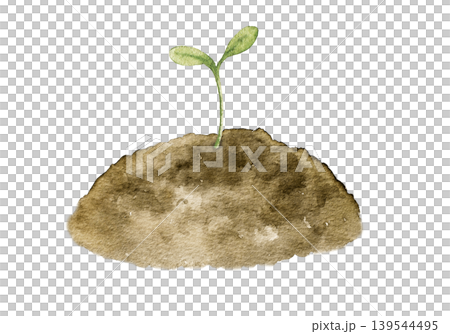 Watercolor illustration of young green seedling growing from soil mound. Botanical artwork for eco projects, farming themes, stationery, packaging and spring decoration use. 139544495