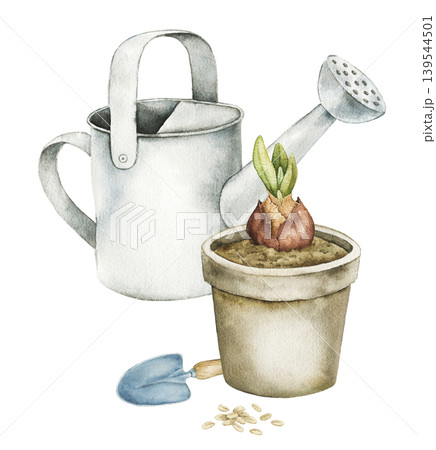 Watercolor composition with watering can, gardening glove and flower pot with sprouting bulb. Spring botanical illustration for stationery, wrapping paper, packaging and seasonal decor. 139544501