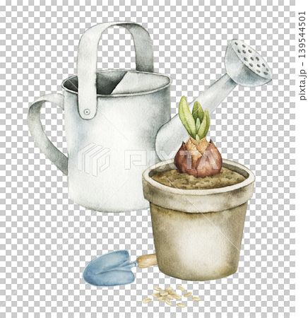 Watercolor composition with watering can, gardening glove and flower pot with sprouting bulb. Spring botanical illustration for stationery, wrapping paper, packaging and seasonal decor. 139544501