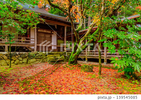 京都・大原野神社 本殿へと続く渡り廊下と紅葉のじゅうたん 飛び石が描く和の情景 京都・大原野神社 本殿へと続く渡り廊下と紅葉のじゅうたん 飛び石が描く和の情景 139545085