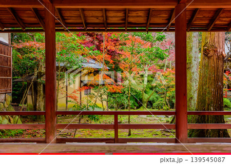 京都・大原野神社 伝統的な渡り廊下と紅葉のじゅうたんを額縁にした裏庭の秋風景 京都・大原野神社 伝統的な渡り廊下と紅葉のじゅうたんを額縁にした裏庭の秋風景 139545087