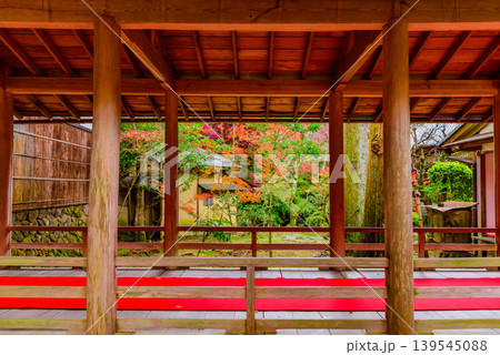 京都・大原野神社 伝統的な渡り廊下と紅葉のじゅうたんを額縁にした裏庭の秋風景 京都・大原野神社 伝統的な渡り廊下と紅葉のじゅうたんを額縁にした裏庭の秋風景 139545088