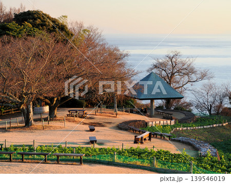 神奈川県中郡二宮町・吾妻山公園 神奈川県中郡二宮町・吾妻山公園 139546019
