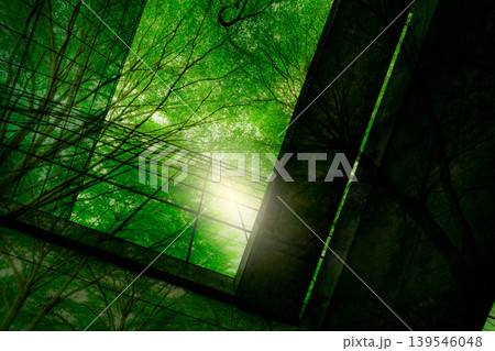 Eco-friendly building in the modern city. Green tree branches with leaves and sustainable glass building for reducing heat and carbon dioxide. Office building with green environment. Go green concept. 139546048