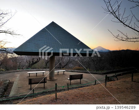 神奈川県中郡二宮町・吾妻山公園 139546289