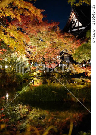 ライトアップされた金戒光明寺の庭園の紅葉 139546415