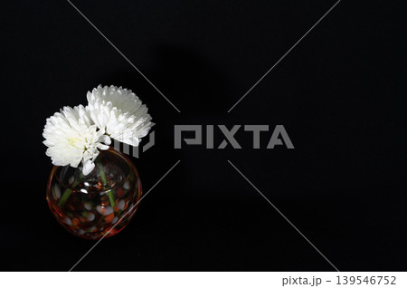 闇に浮かぶ寒色硝子球形一輪挿に白い菊(左配置) 139546752