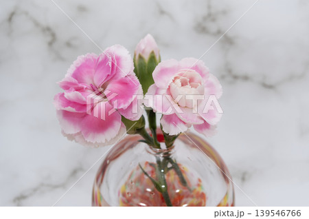 一輪挿しに挿した三輪の桃色のカーネーションの花とつぼみのクローズアップ 一輪挿しに挿した三輪の桃色のカーネーションの花とつぼみのクローズアップ 139546766