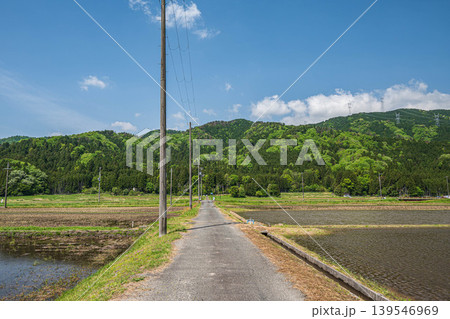 奥琵琶湖の田園風景 田んぼの中の一本道 滋賀県長浜市西浅井町 奥琵琶湖の田園風景 田んぼの中の一本道 滋賀県長浜市西浅井町 139546969