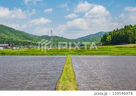 奥琵琶湖の田園風景 水を張った田んぼ 滋賀県長浜市西浅井町 奥琵琶湖の田園風景 水を張った田んぼ 滋賀県長浜市西浅井町 139546978