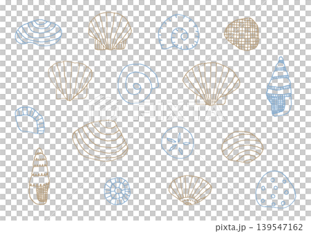 A set of hand-drawn illustrations of seashells in various shapes (blue and brown) A set of hand-drawn illustrations of seashells in various shapes (blue and brown) 139547162