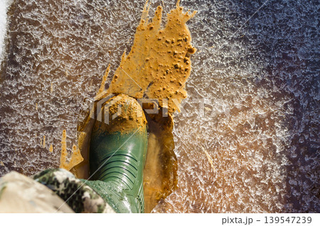 Mud-caked green wellie boot smashing through brittle ice on a frozen creek, stirring up dirty ooze 139547239