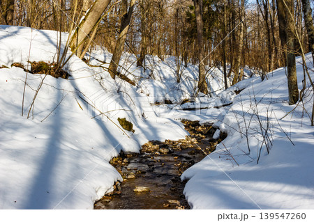 A tranquil winter stream cuts through a pristine snow-filled gully. Bright sun illuminates the bare forest trees, highlighting nature's quiet beauty in this chilly landscape 139547260