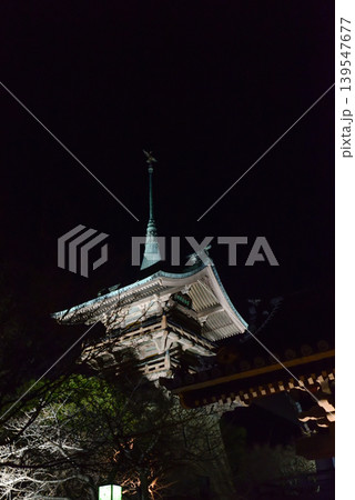 大雲院 祇園閣 大雲院 祇園閣 139547677
