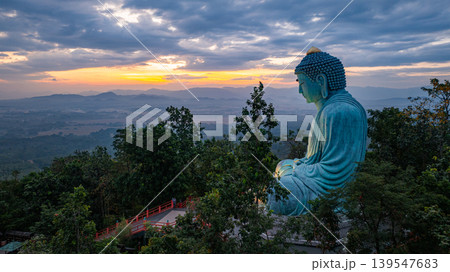 Aerial view of Majestic Buddha at sunrise 139547683