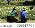 花壇は日常の管理・お手入れが大切です 花壇は日常の管理・お手入れが大切です 139547794