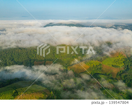 Traditional Farming Landscape in Northern Thailand Traditional Farming Landscape in Northern Thailand 139547804