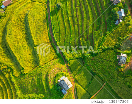 Traditional Farming Landscape in Northern Thailand 139547805