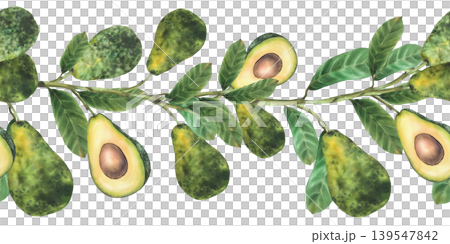 Watercolor avocado branch seamless border. Ripe whole and cut half fruit showing seed with leaves. Botanical hand drawn illustration isolated from background pattern for food packaging, cosmetic label Watercolor avocado branch seamless border. Ripe whole and cut half fruit showing seed with leaves. Botanical hand drawn illustration isolated from background pattern for food packaging, cosmetic label 139547842