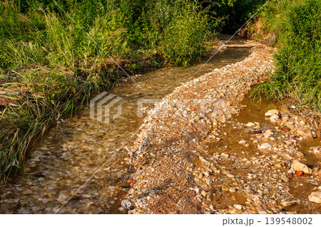 Shallow, clear brook winding through a rocky streambed, flanked by vibrant green foliage. Gentle flow over pebbles and stones, sun-dappled water surface Shallow, clear brook winding through a rocky streambed, flanked by vibrant green foliage. Gentle flow over pebbles and stones, sun-dappled water surface 139548002