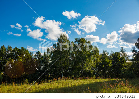 Lush green trees line a sun-drenched grassy field under a bright blue sky with fluffy white clouds. A peaceful summer day vibe Lush green trees line a sun-drenched grassy field under a bright blue sky with fluffy white clouds. A peaceful summer day vibe 139548013