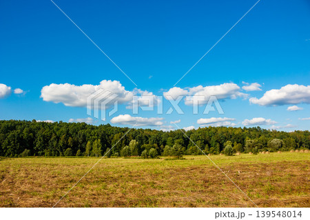 Sun-kissed field of cut hay, wide and textured. Fluffy clouds dot the bright blue sky above a verdant forest, serene natural beauty Sun-kissed field of cut hay, wide and textured. Fluffy clouds dot the bright blue sky above a verdant forest, serene natural beauty 139548014