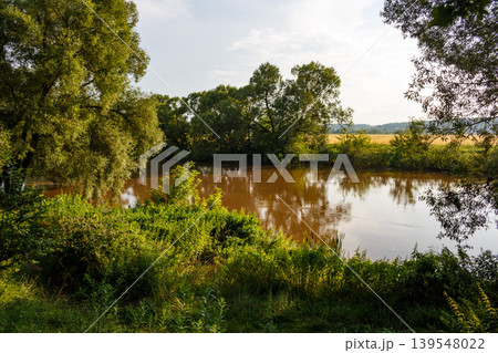 Brownish creek flows through lush green banks. Verdant trees line the water, their reflections shimmer. Serene nature scene, good vibes 139548022